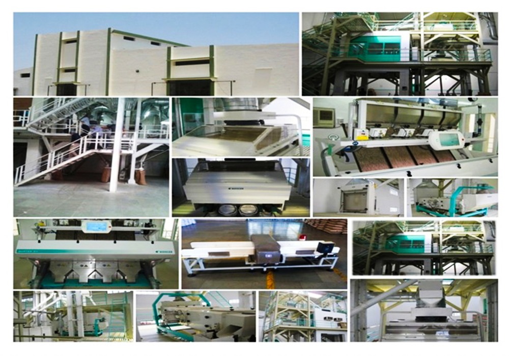 Infrastructure -   Harvest Pride Trading L.L.C - FZ