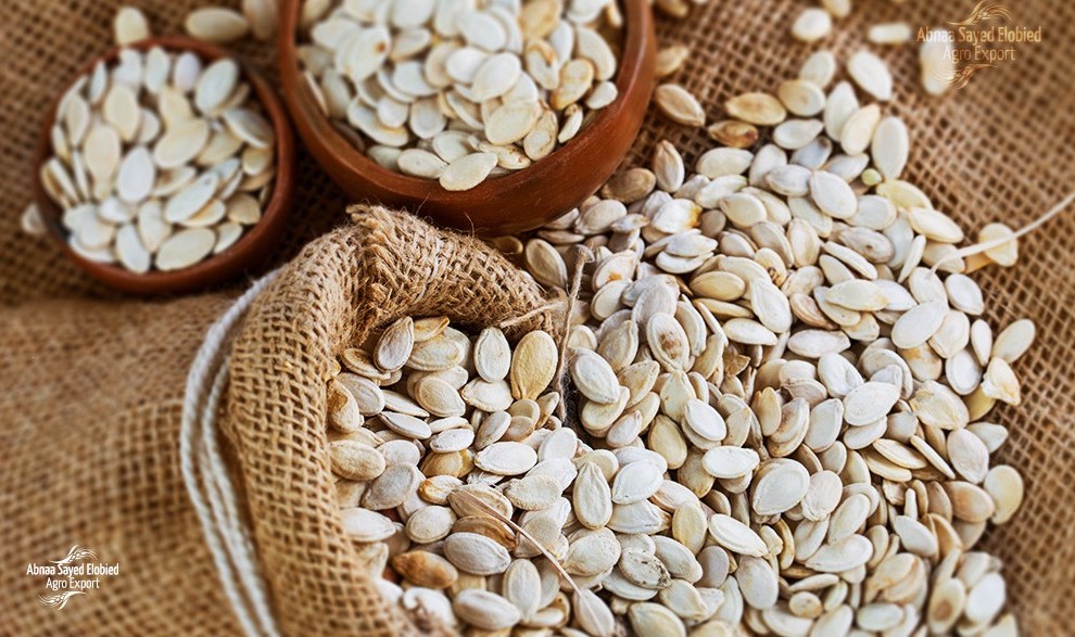 Watermelon Seeds with Shell